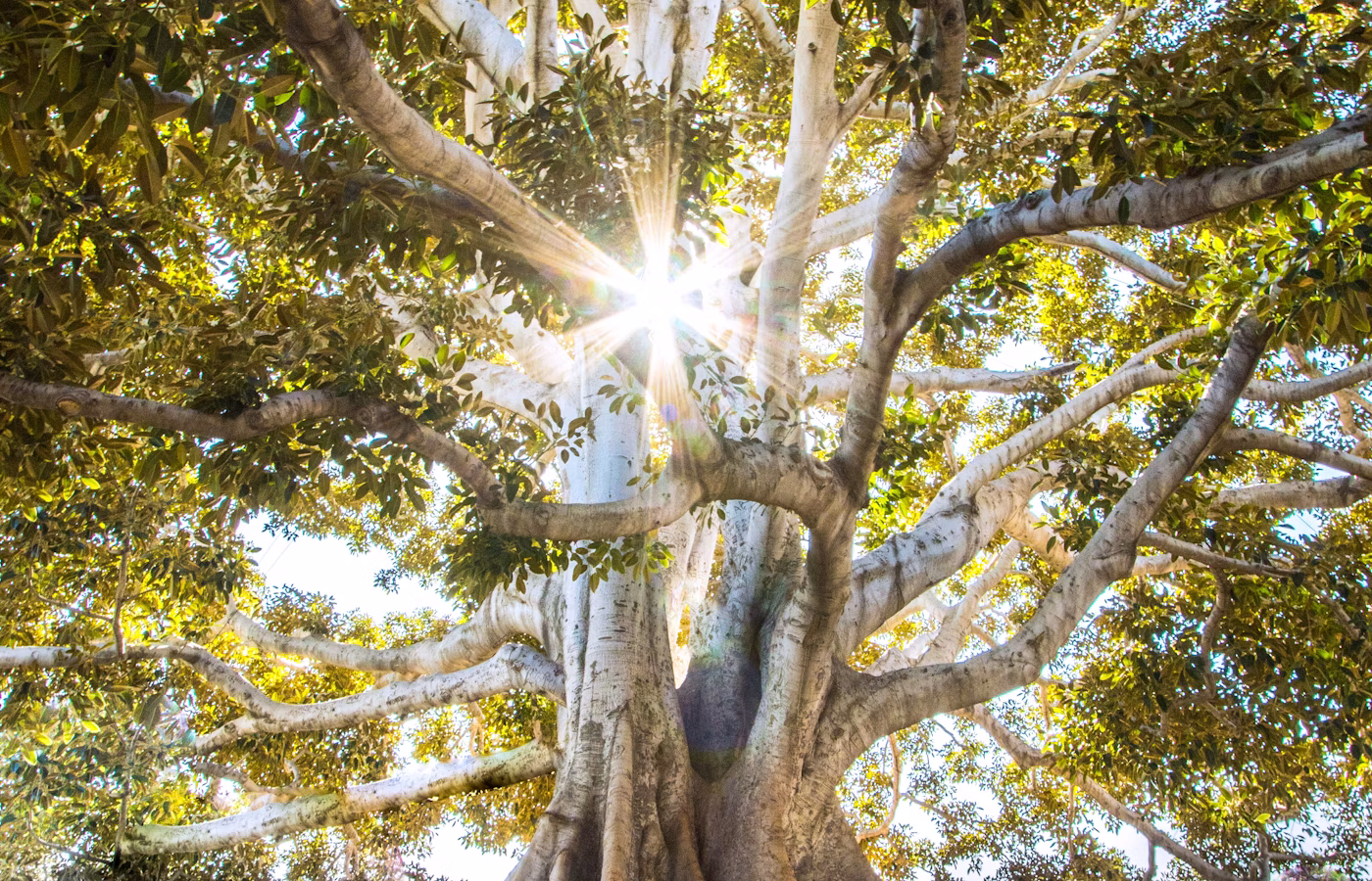 Внутренняя опора для человека в перегрузе